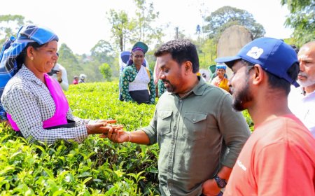 மலையகத் தொழிலாளர்களை தேயிலைத் தோட்டத்திற்கே சென்று சந்தித்த ஜனாதிபதி அநுரகுமார திஸாநாயக்க