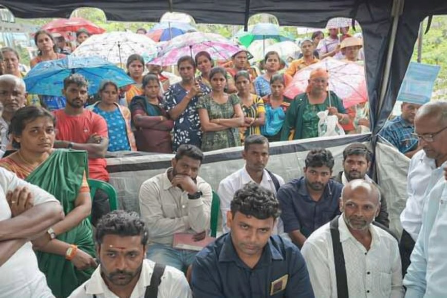 பணி இடைநிறுத்தம் செய்யப்பட்ட தொழிலாளர்கள் உண்ணாவிரத போராட்டம் – மூவர் வைத்தியசாலையில்!