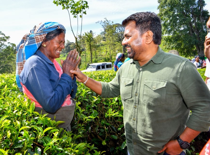 ‘1,750’ அரசாங்கத்தின் தோல்வியும் நிறுவனங்களின் வெற்றியும்