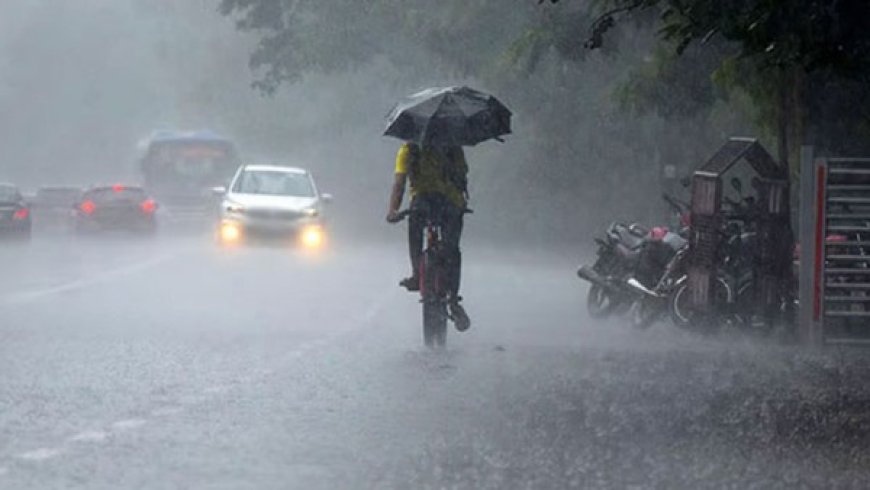 மலையகத்தின் பல பகுதிகளில் அடர்ந்த மூடுபனி.. சாரதிகளுக்கு பொலிஸார் எச்சரிக்கை