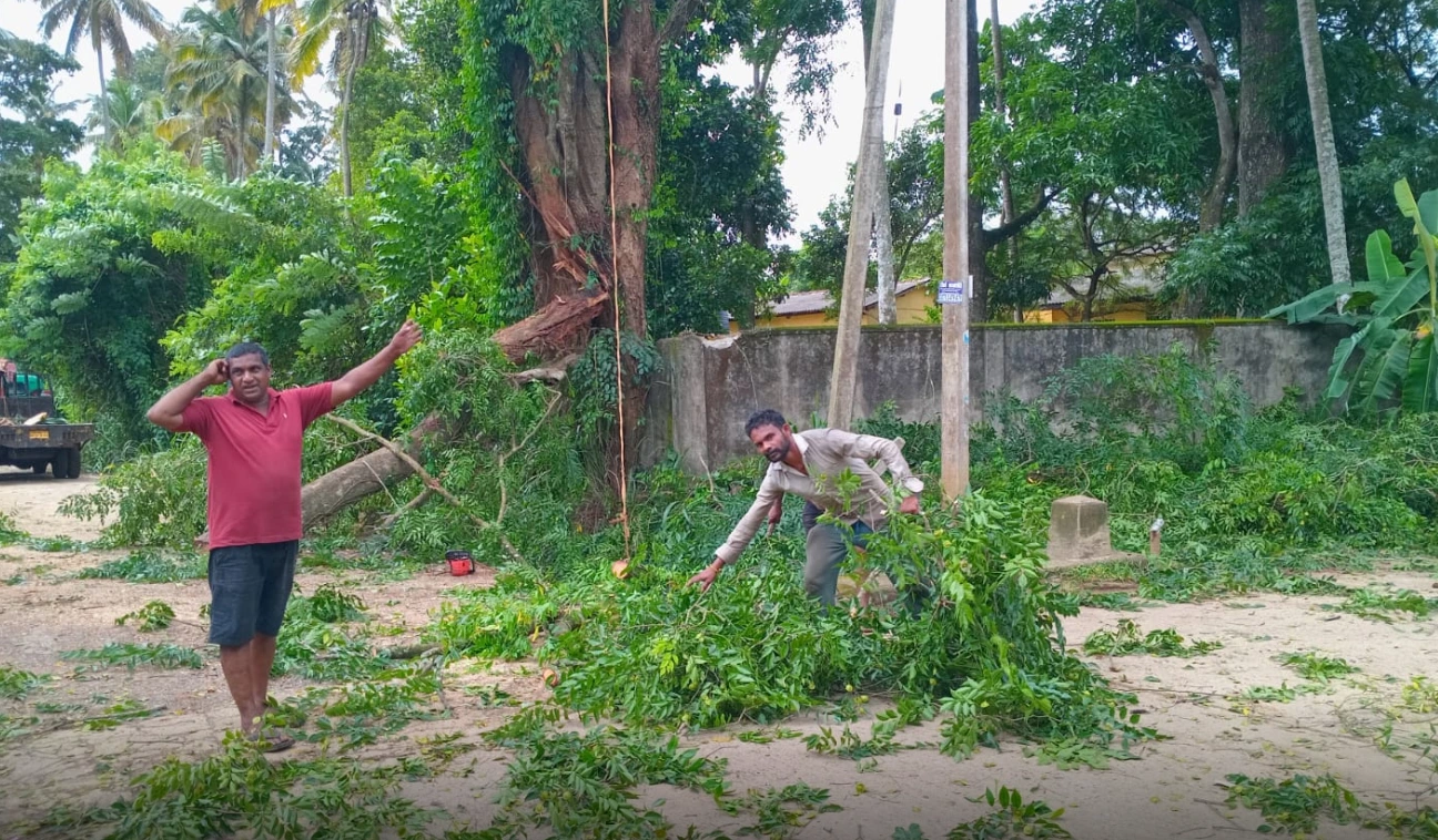 கம்பளையில் மரம் முறிவு: போக்குவரத்து பாதிப்பு - மக்கள் விடுத்த கோரிக்கை